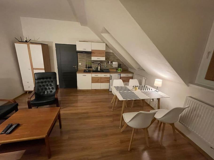 Francis Apartment - Lazenske Centrum การ์โลวีวารี ภายนอก รูปภาพ